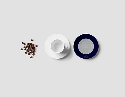 Visual record 36 — IIHB